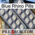 Blue Rhino Pills 07